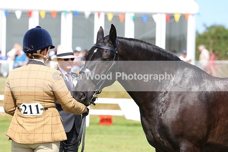 3E7A9989 - Class 5: Rising Star Lightweight/Heavyweight Cobs