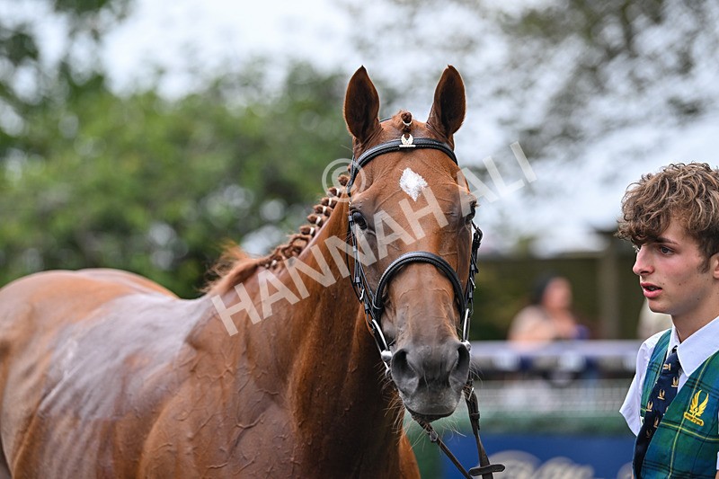 300825-Race 7-Urban Sprawl-2312 - Race 7