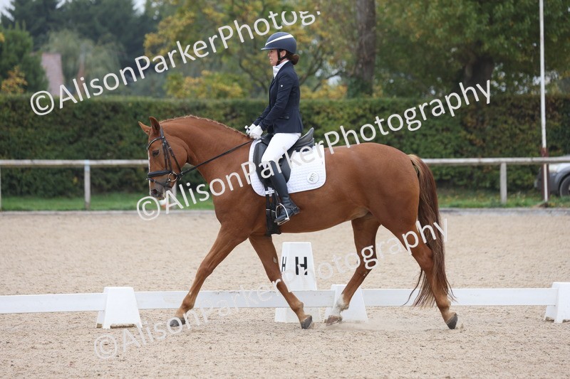 20251012-0648 - Class 5 - Elementary 5