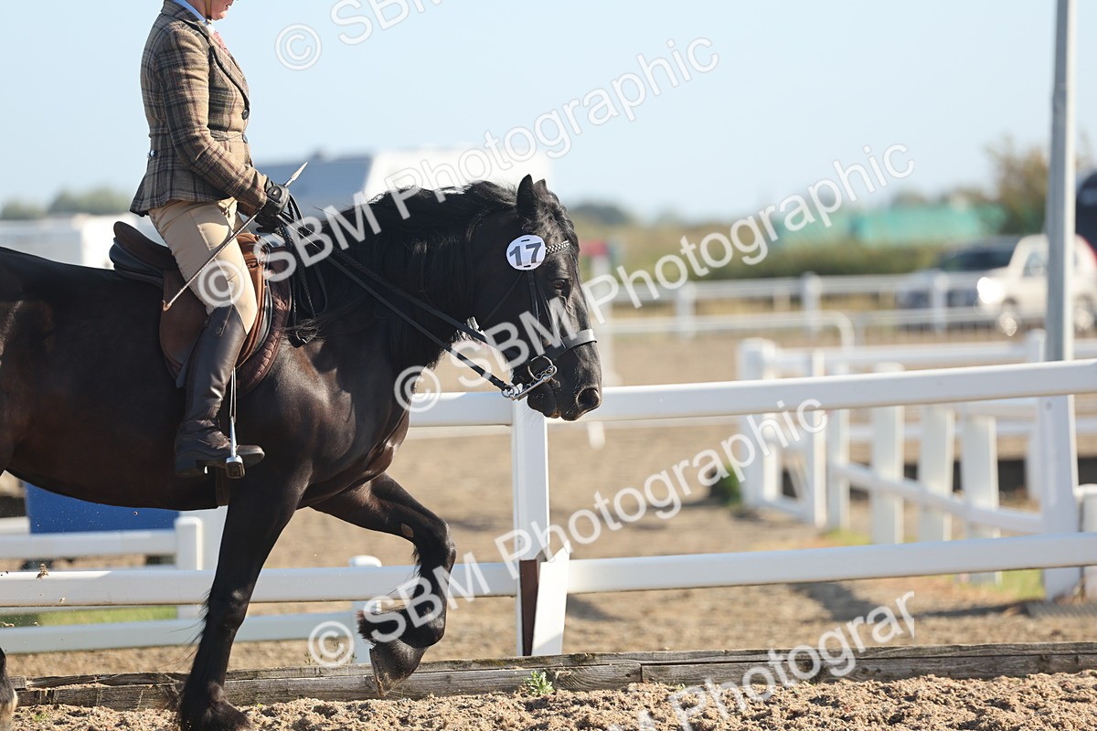 SBM_22114 - Class 801 - Ridden Veterans
