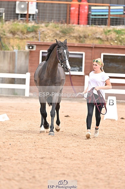 250716-153348-02013 - Trot Up 3.30 to 4.30
