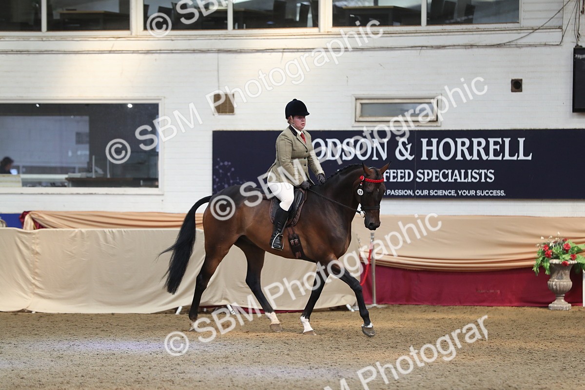 SBM_12385 - Class 108 Ridden Retired Racehorse- Pre Judging