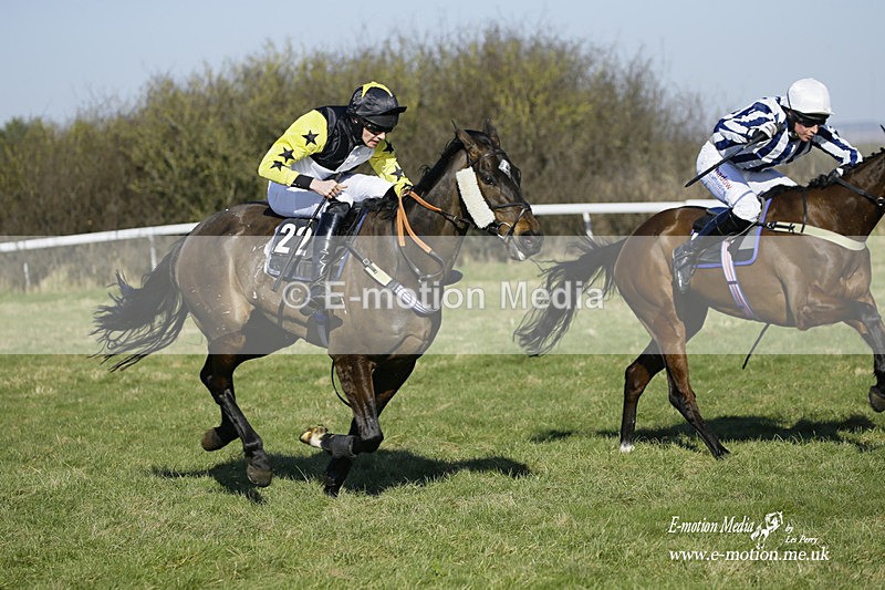 PtP 270222 98 - South & West Wilts Point-to-Point Larkhill 27/02/22