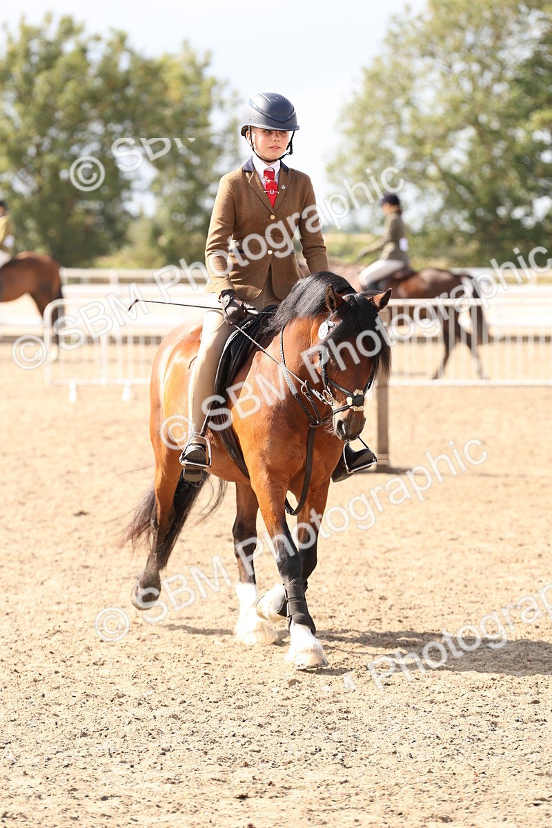 SBM_07339 - Class 58b -  Style & Performance - 70cm (20+)