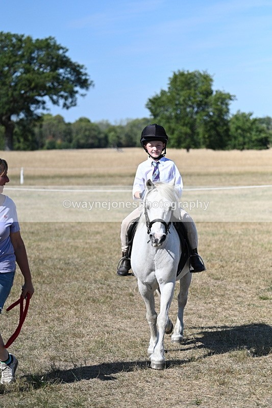 WJ7_1543 - Class 42 Most Handsome Gelding