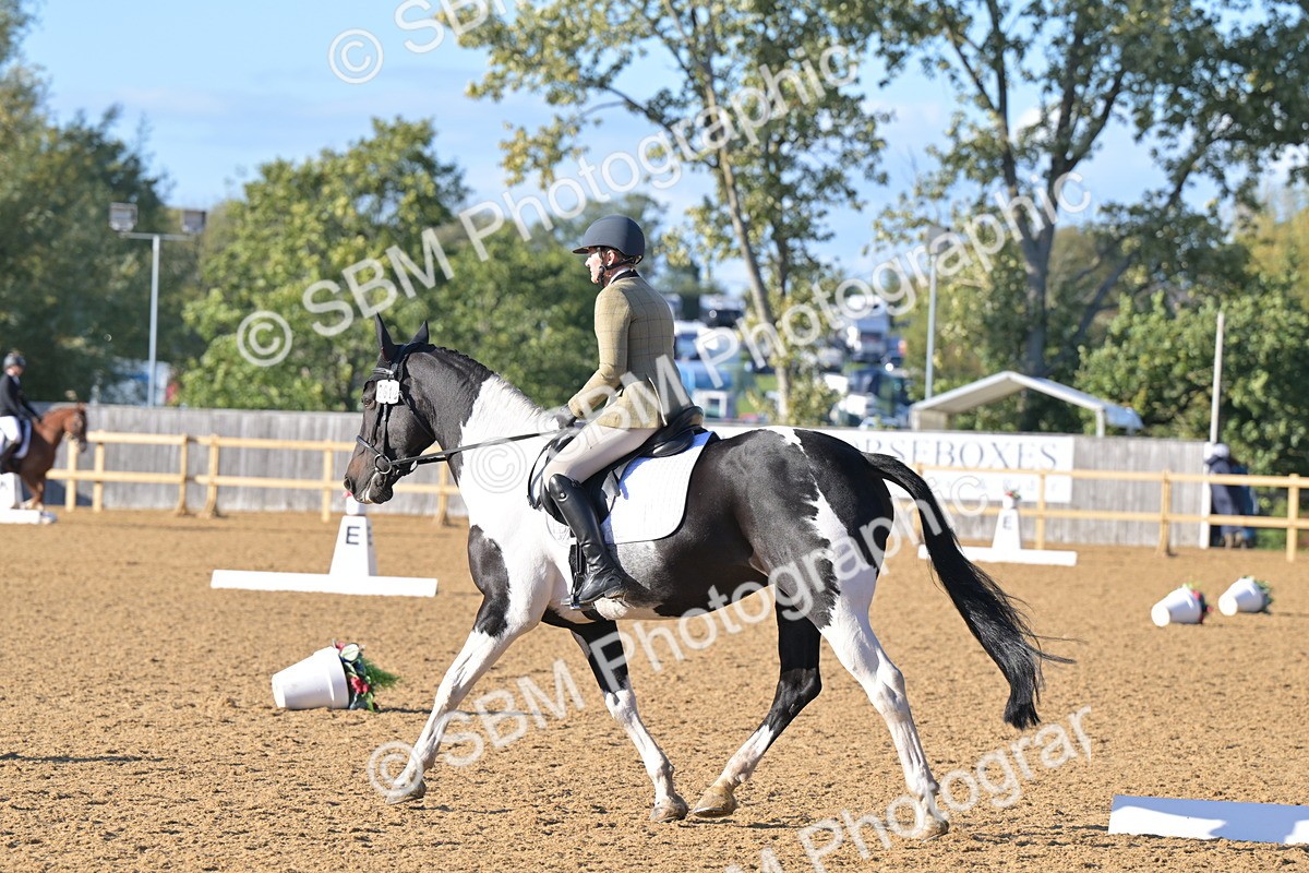 SBM_13060 - D3 - Small Tour Championship Intro 3