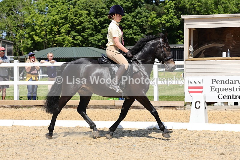 1X9A1699 - Class 11: Ridden Cob