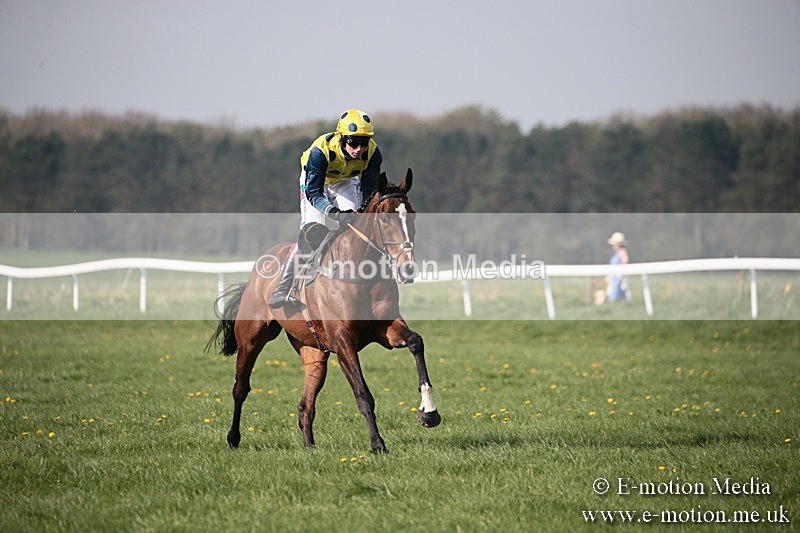 PtP 210418 442 - South & West Wilts Point-to-Point Larkhill 21/04/18