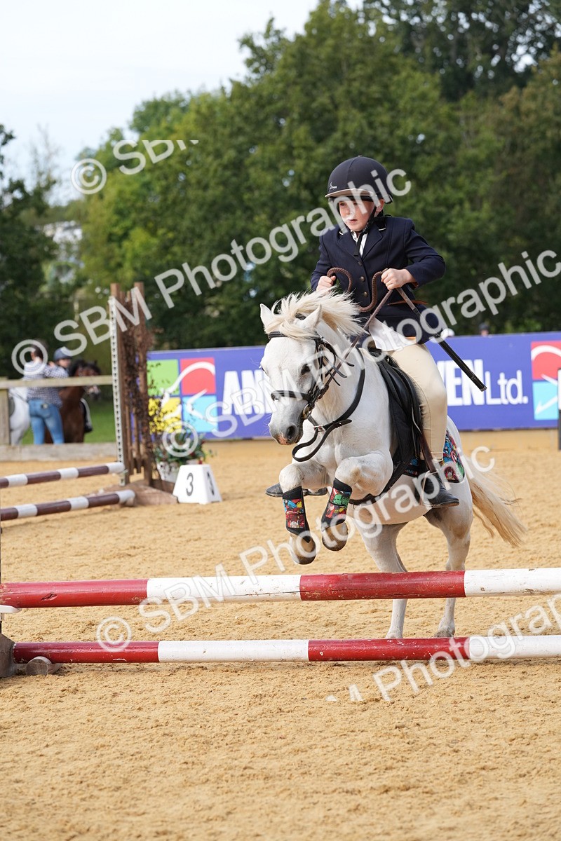 SBM_68512 - J3 - Mini Tour Junior Pony 40cm Championship