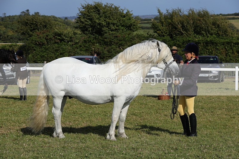 1X9A6013 - Class 42: NPS Dales, Fell, Highland
