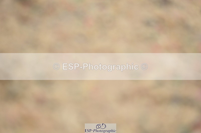 230916A-105810-03570 - Cls 21 British Novice & 90cm Open