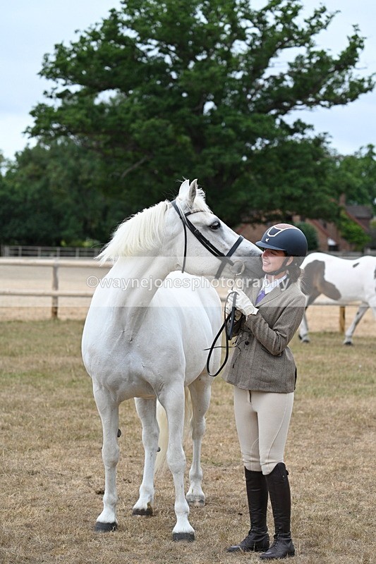 WJ7_9127 - Class 4a Prettiest Mare 14.2hh and over