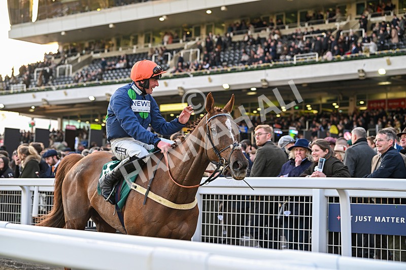 140325-Race 7-No Questions Asked-6268 - 14th March