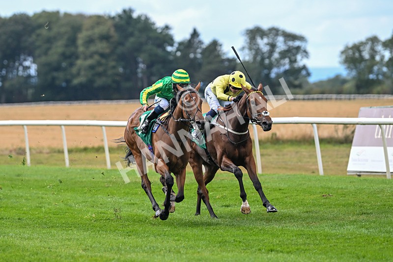 290825-Race 2-Brigids Well-8355 - Race 2