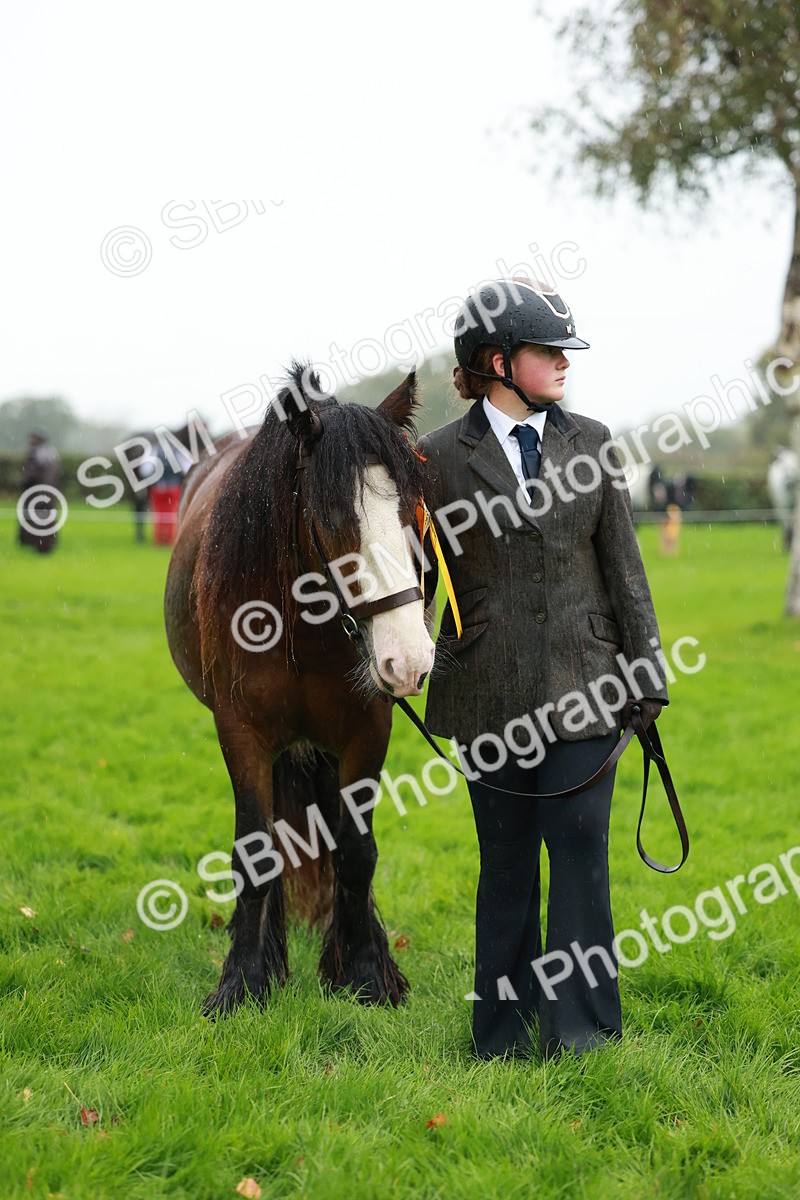 SBM_34966 - S10 - Best In Hand Horse & Pony