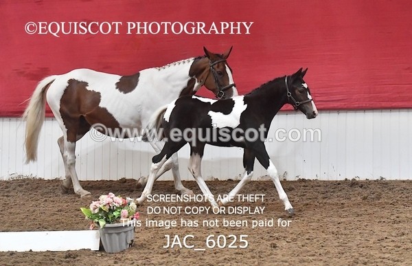 JAC_6025 - 16 Serendipity