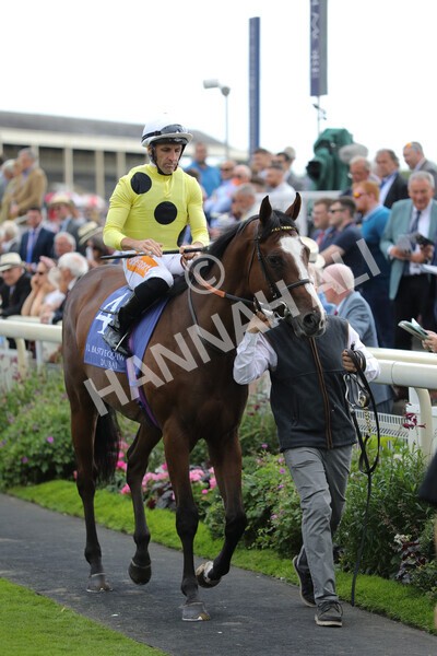 yr19082022r3-7 - Race 3 3.00pm Al Basti Equiworld Dubai Gimcrack Stakes