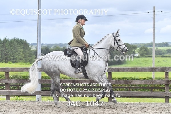 JAC_1047 - CLASS 7 BHS Scotland Riding Club Style Jumping (0.85m)
