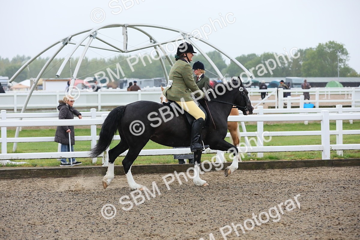SBM_20021 - Class 802 - Ridden Groom - Helpers class