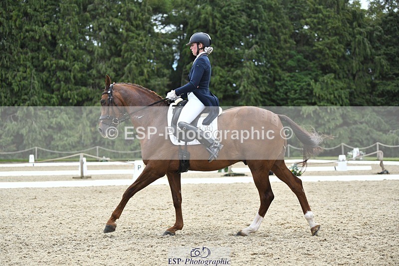 230812-141144-04630 - Cls 7 FEI PSG Bronze