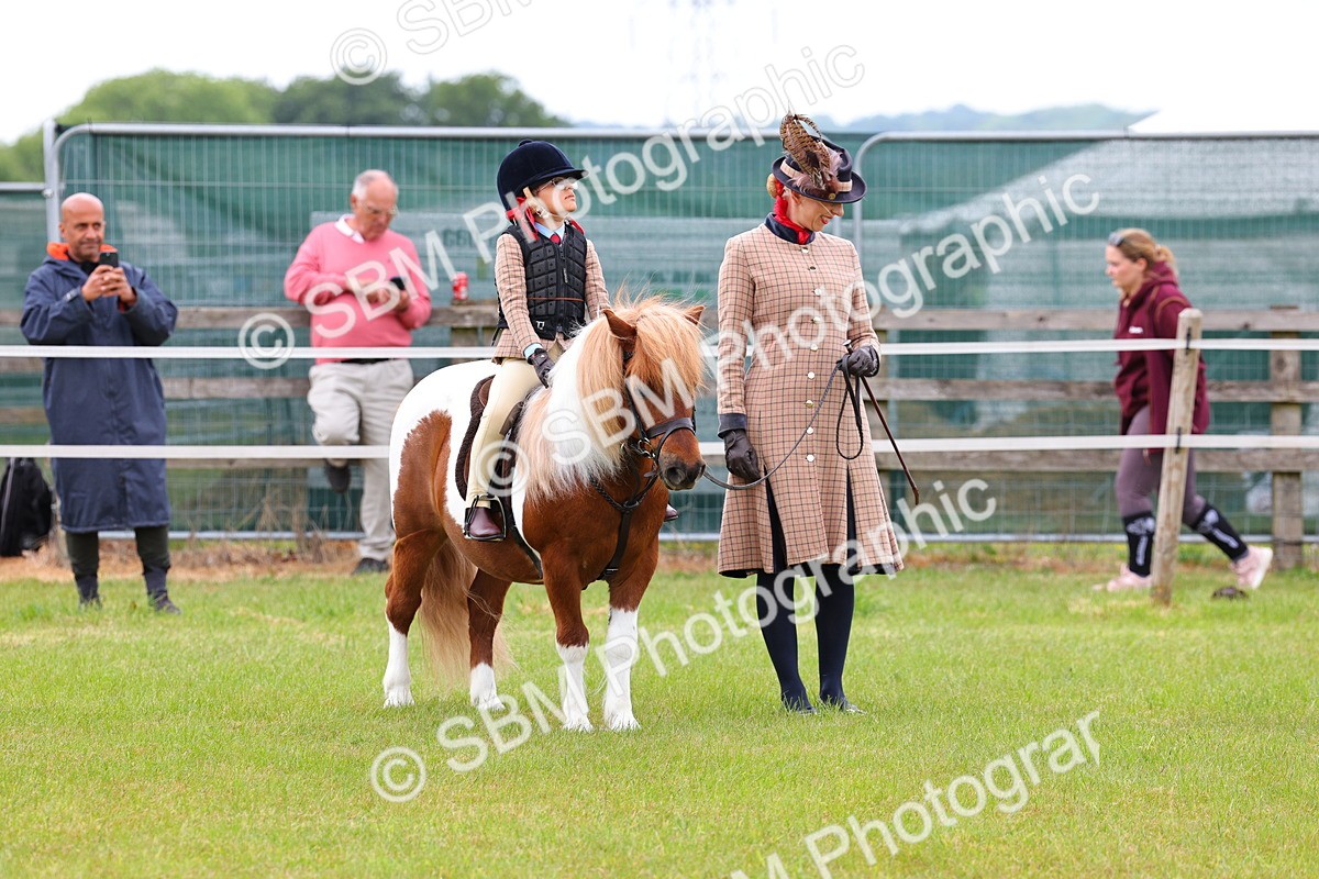 SBM_08243 - Class 42-43 - LIHS BSPS Heritage Working Sports Pony