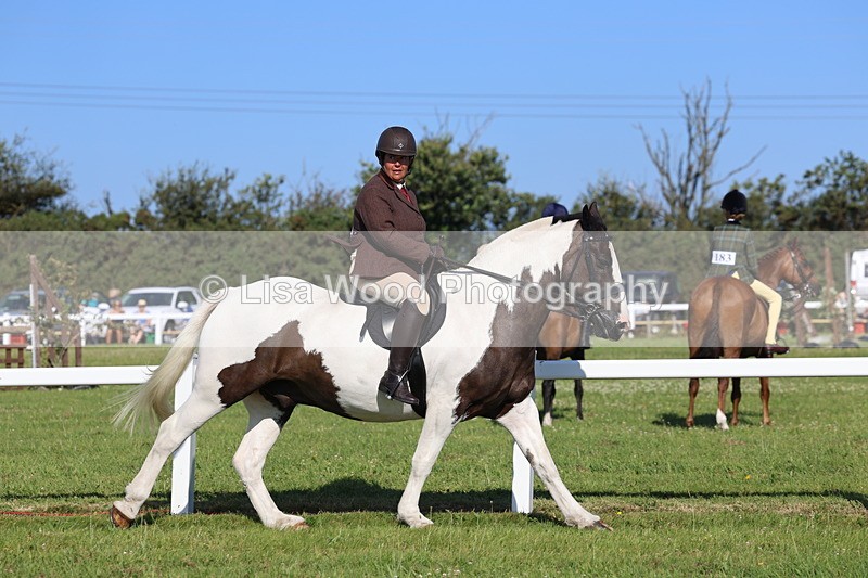 IMG_1484 - Class 30: Ridden Native/Trad Coloured Pony