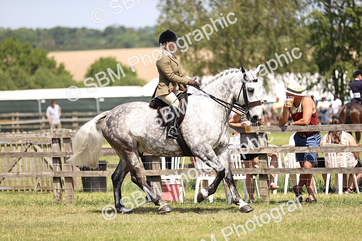 SBM_16093 - Class 79-80 - LIHS BSHA Rising Star Ridden Hunter