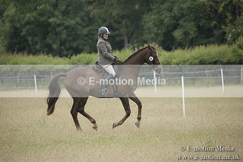 B230619-0339 - Bourne Valley Riding Club Summer Show 23/06/19