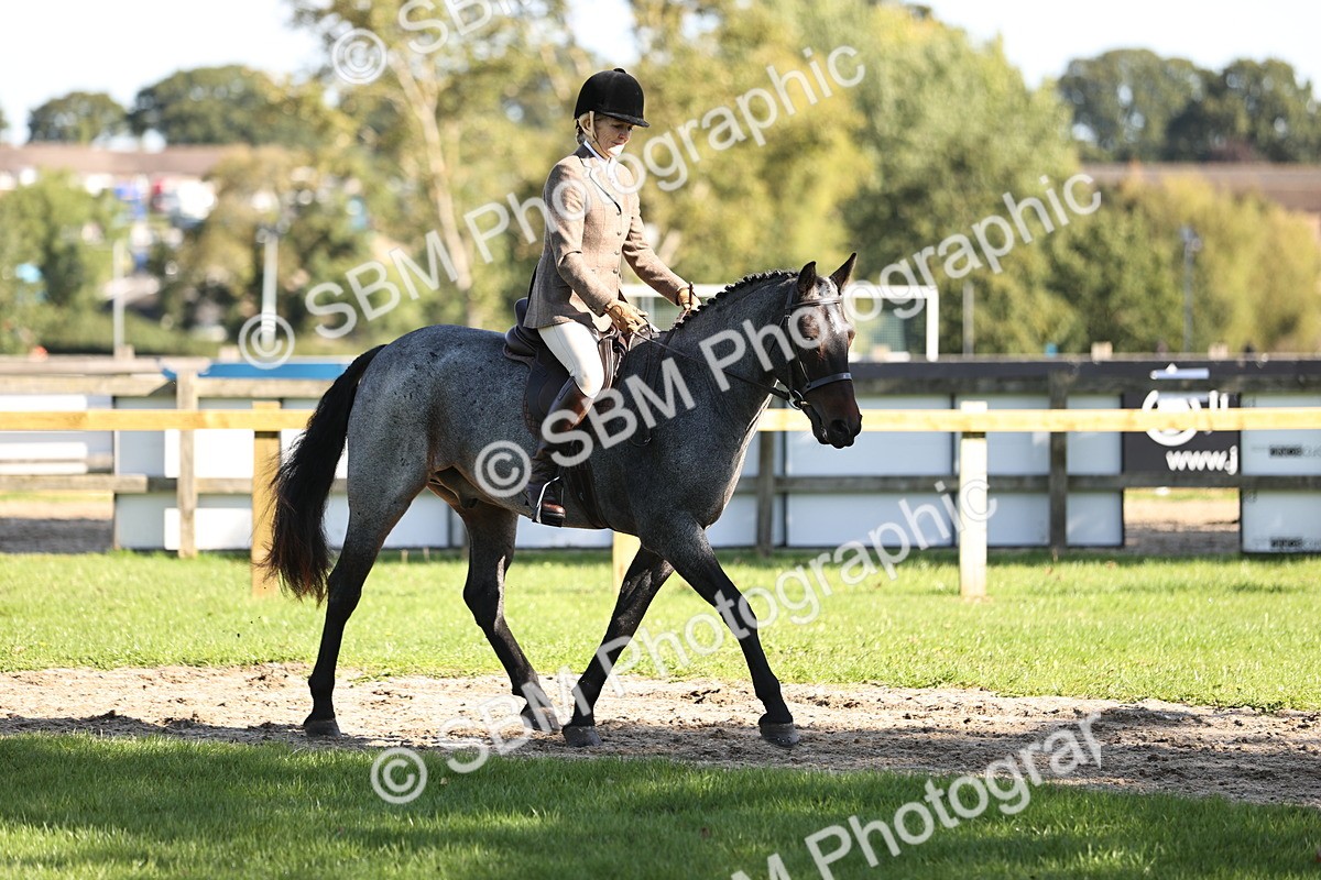 SBM_16896 - S2 - TSR Ridden Pony Showing
