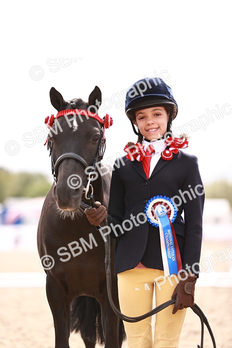 SBM_18338 - Class 417 - Handsome Gelding (IH or Ridden - JNR)