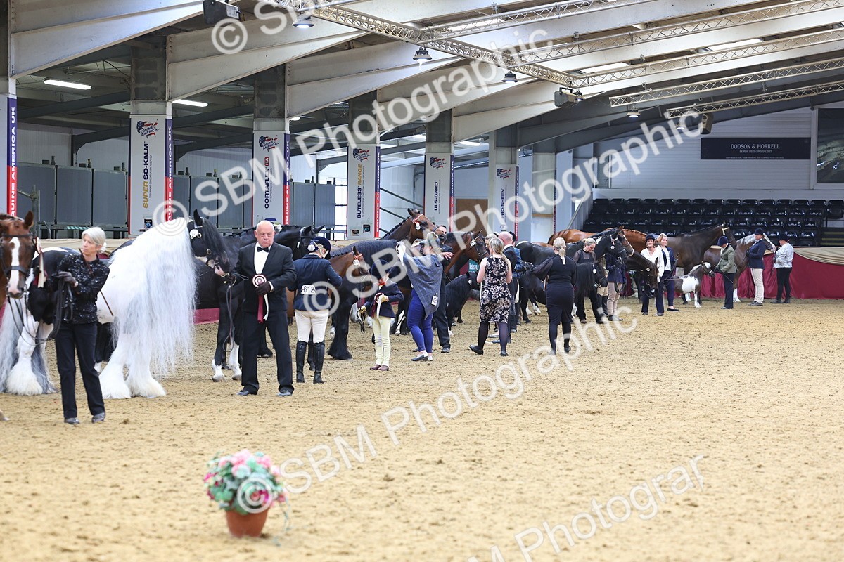 SBM_22919 - Class 903 - Supreme Final - IH Pre Vet