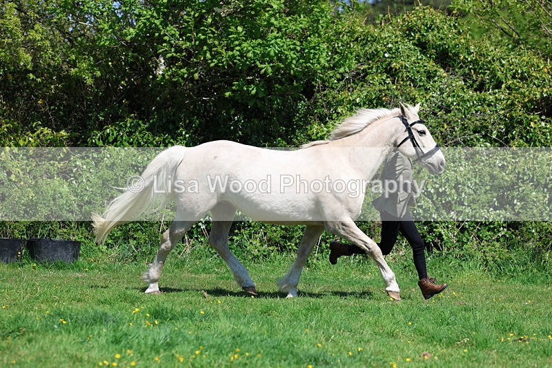 3E7A0248 - Class 19: Best Coloured in Hand