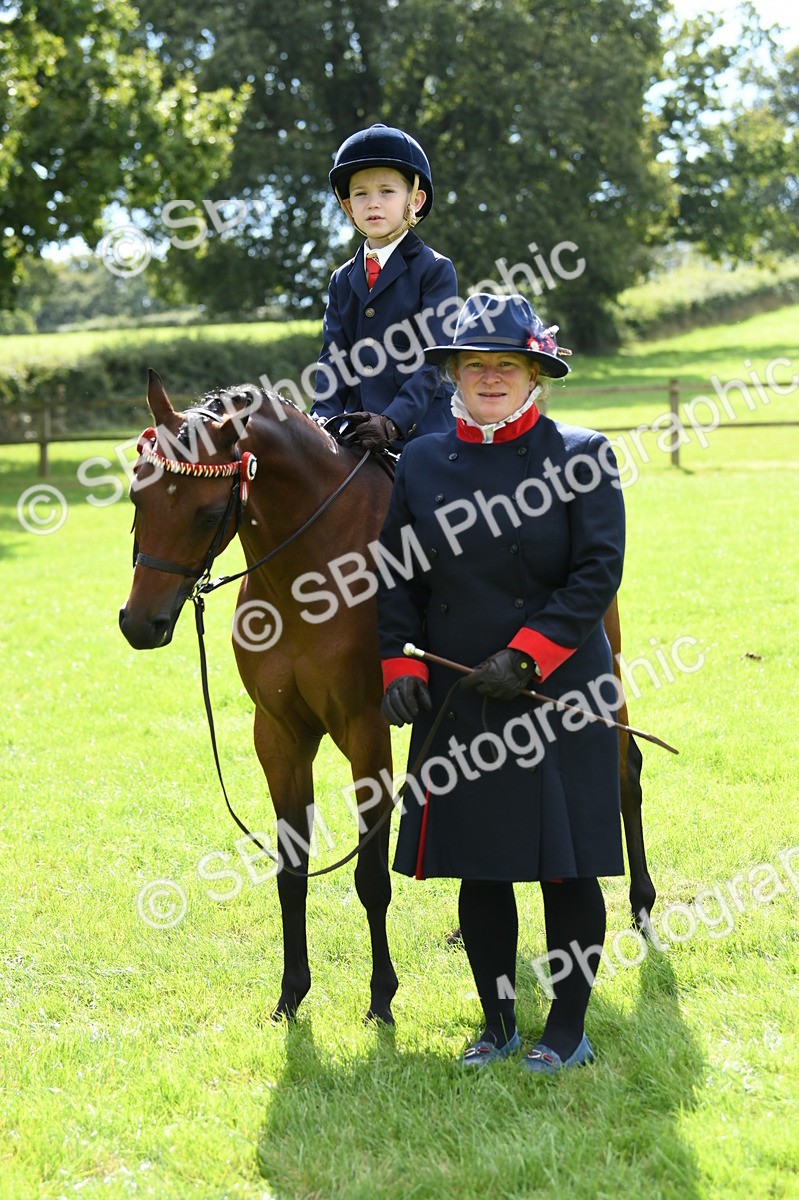 SBM_41177 - S19 - Lead Rein Show & Show Hunter Pony