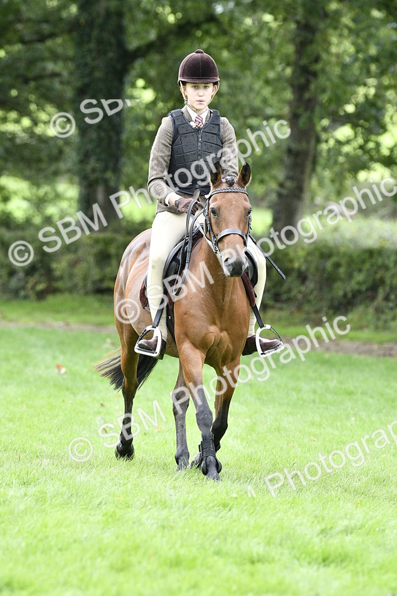 SBM_45602 - S33 - Working Hunter Pony