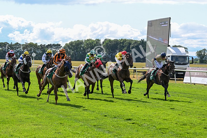 020725-Race 5-Mereside Madness-2586 - Race 5