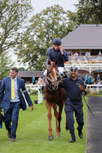 yr20082021r7-40 - Race 7 5.10pm Sky Bet Mile