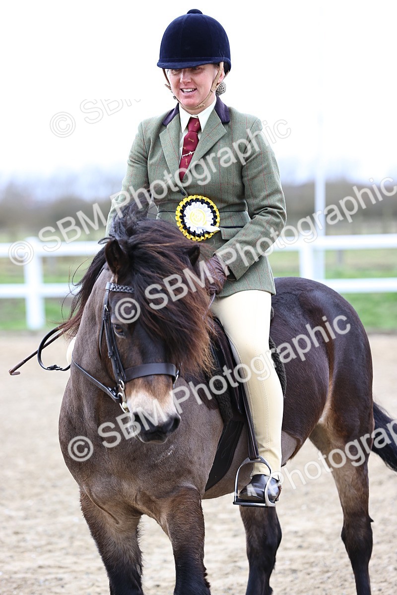 SBM_006867 - Class 29 - 30 - M&M Pure Novice Small-Large Breeds