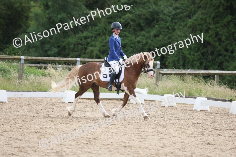 20250614-1502 - Class 7 - Elementary 2