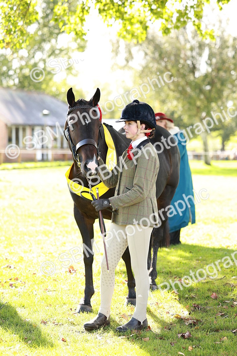 SBM_42210 - S32 - Mountain & Moorland Working Hunter Pony