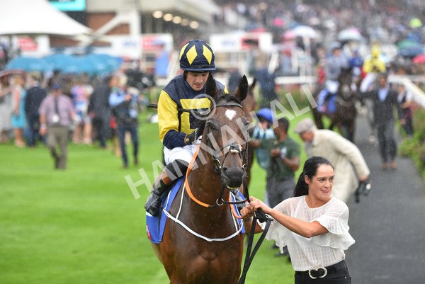 yr21082021r4-42 - Race 4 3.35pm Sky Bet Ebor