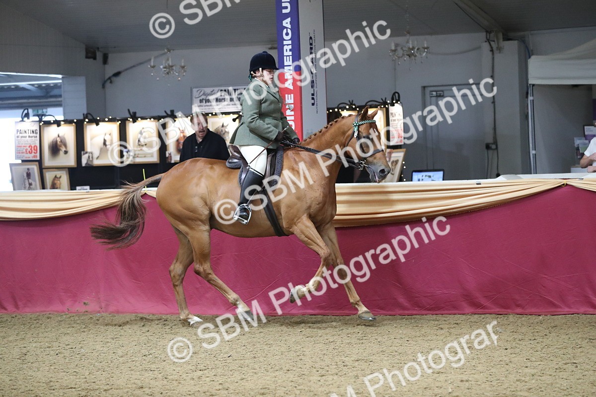 SBM_12325 - Class 108 Ridden Retired Racehorse- Pre Judging