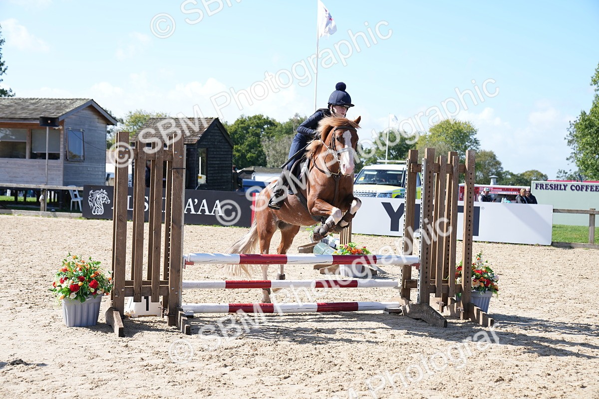 SBM_04982 - J56 - Clear Round 70cm