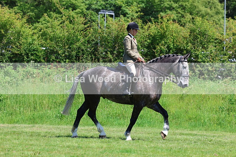 3E7A8230 - Class 13: Ridden Hunter