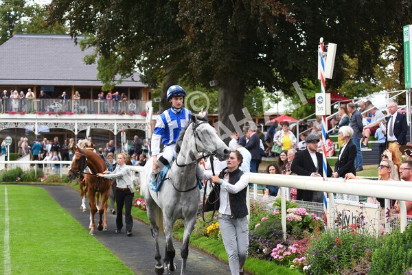 yr04092022r5-12 - Race 5 4.05pm Little Green Rascals Children's Nurseries Stakes