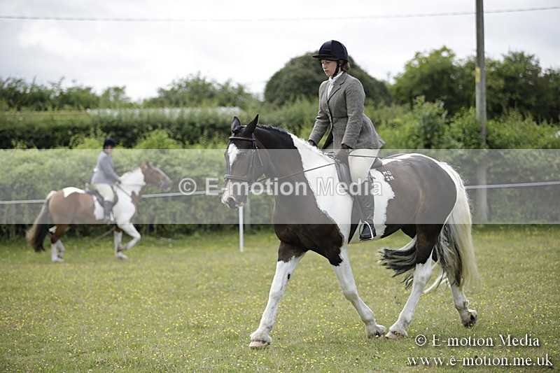 BVR160717-1890 - Ring 1 BVRC Show 16/07/17