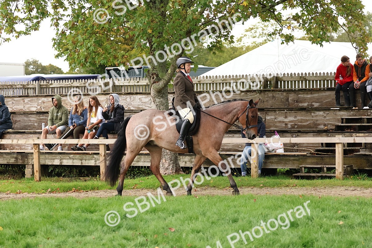 SBM_44961 - S27 - Young Veteran Ridden