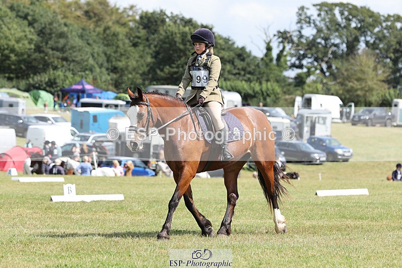 240824X-131344-27261 - D80 Section G and H 12.00 to 13.30