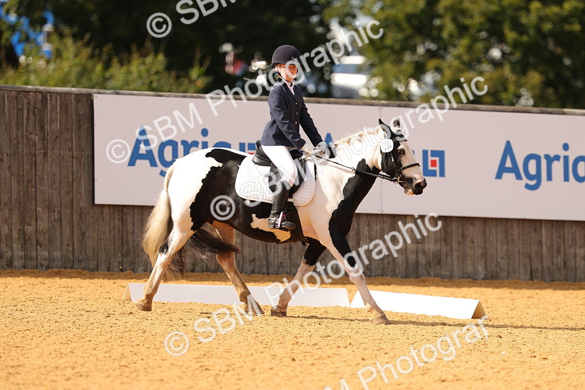 SBM_48298 - D22 - Junior Championship - Intro B