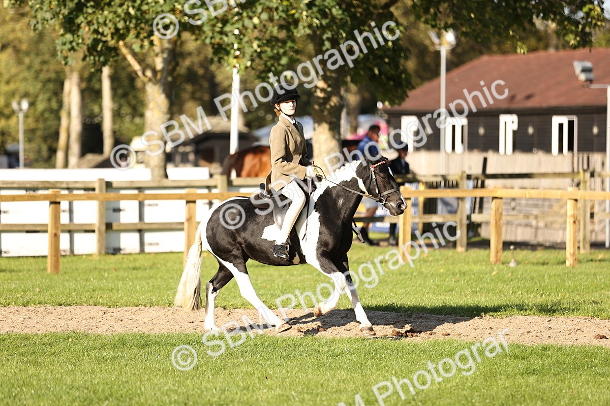 SBM_29443 - S7 - Novice & Newcomers Ridden Pony