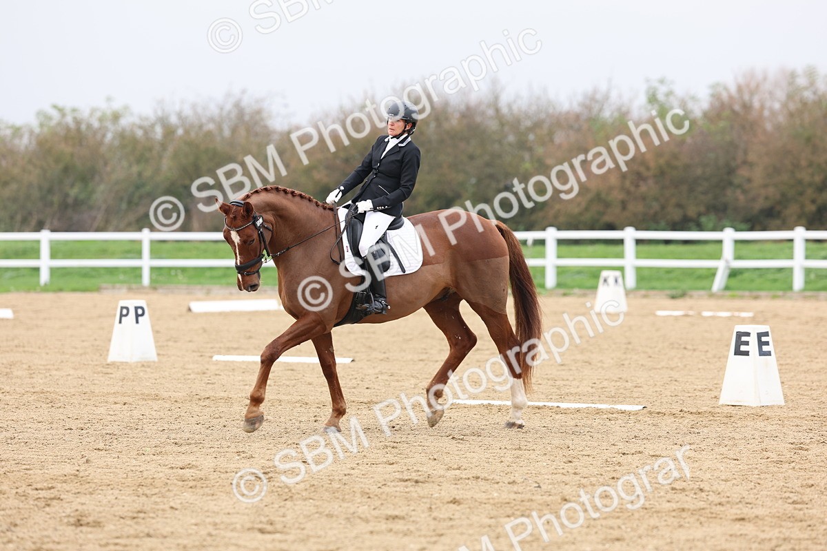 SBM_008439 - Class 11 - Medium 5